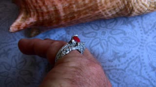 Queen Conch and Red Coral ring in pure silver