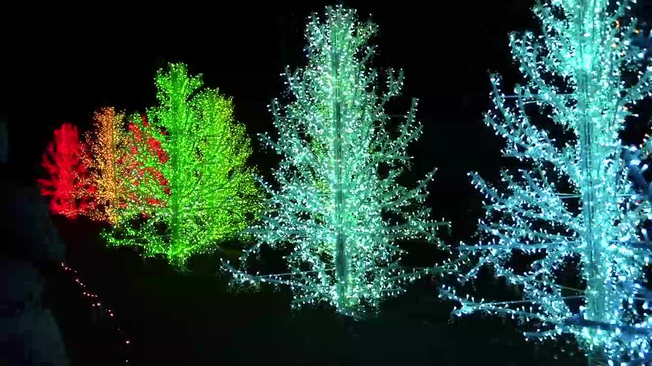 ATLANTA BOTANICAL GARDEN | GARDEN LIGHTS | JESSMONI | TUSKEGEE TELEVISION NETWORK