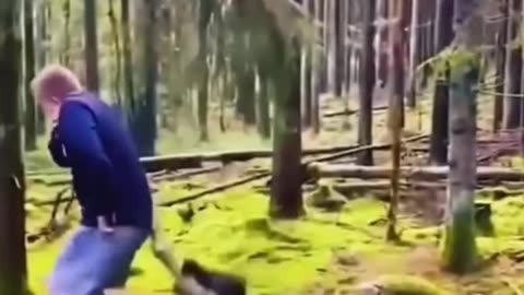 Tree exterminator