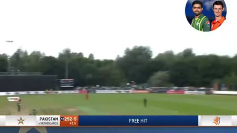 Pakistan Vs Netherlands ICC Cricket World Cup 2023 Match Highlights