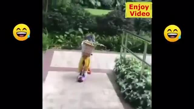 Funny animals 😂😂😂😂😂
