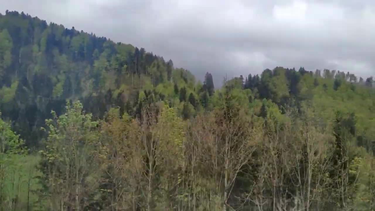 Stunning Bavarian Landscape Views from Train Germany Indian In Europe