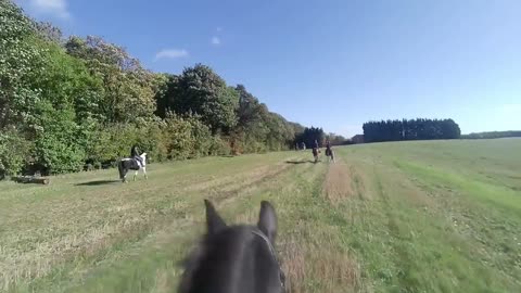 Oh dear! Novice Horses with Inexperienced Riders 😳 a disaster waiting to happen?