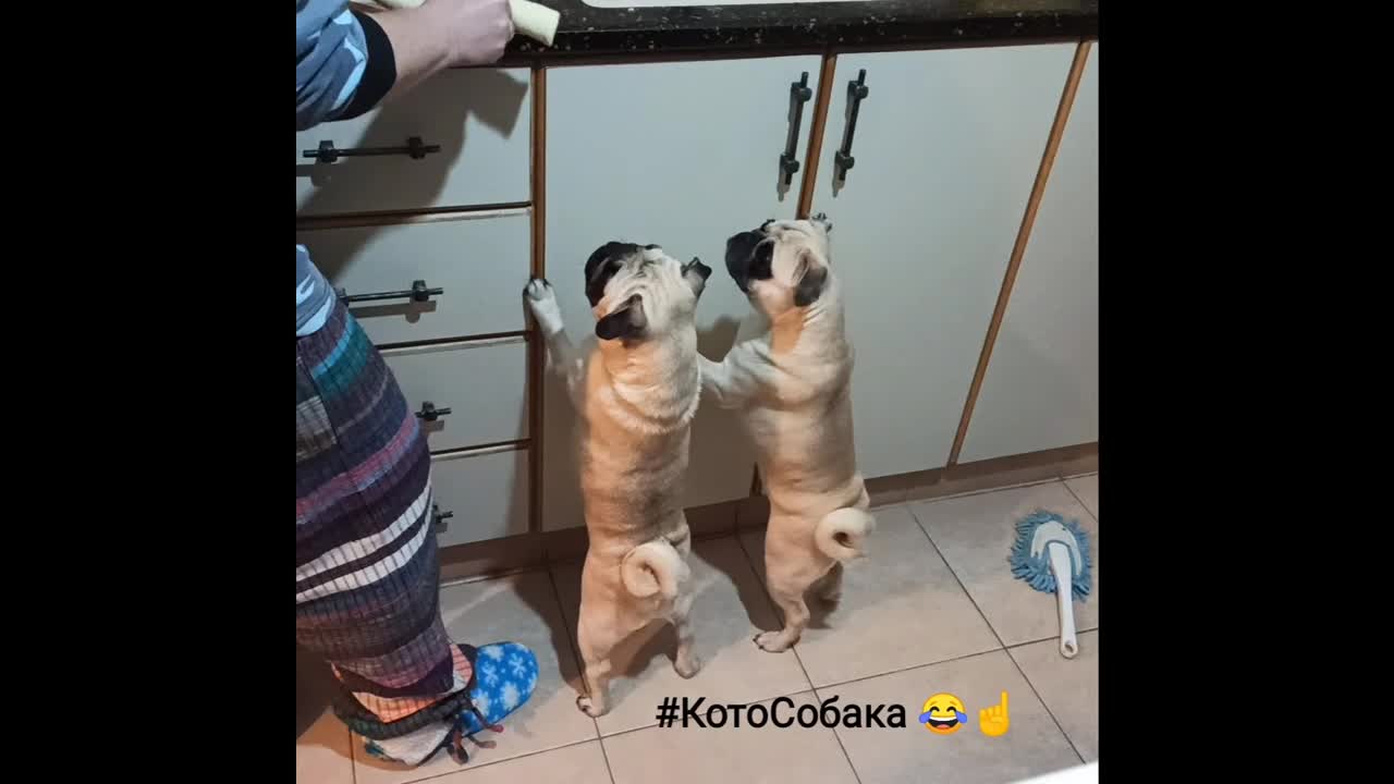 Снято на камеру