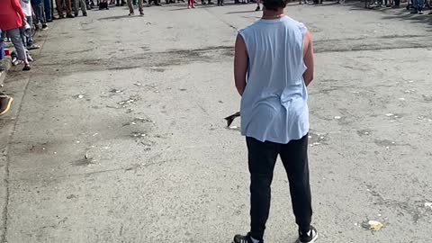 Salmon Toss of the Day🐟