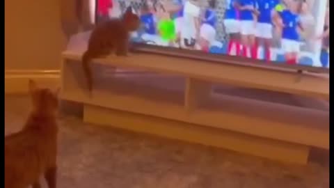 Nice Goalkeeper 🤡 😁 😌