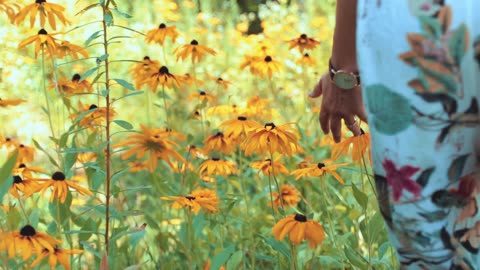 beautiful flowers
