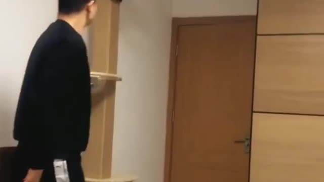 Man Playing with his cute cat with a ball