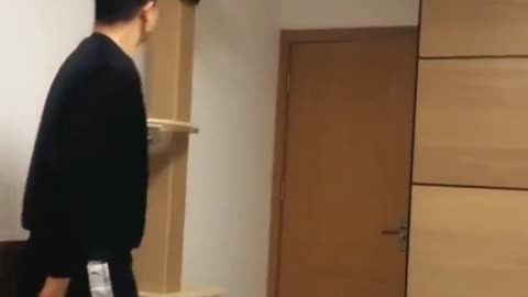 Man Playing with his cute cat with a ball
