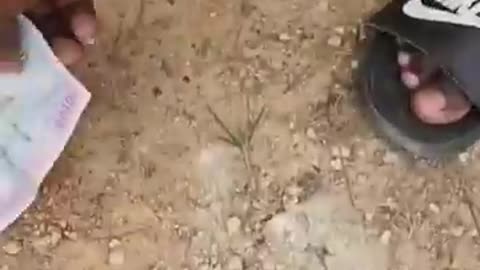 wait for End #shorts #funny #viral 🤣🤣🤣