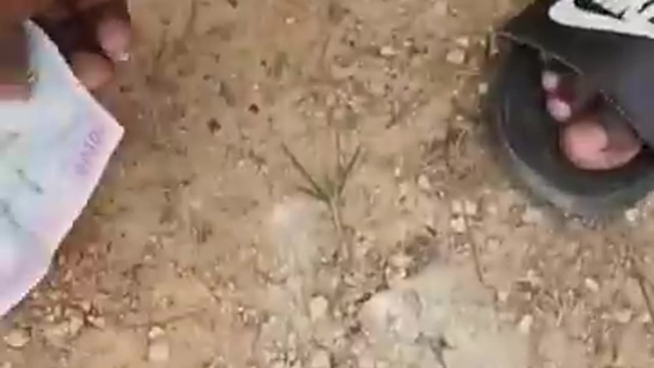 wait for End #shorts #funny #viral 🤣🤣🤣