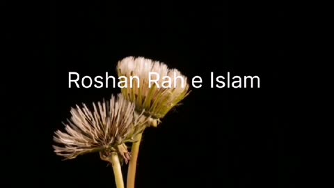 Hazrat Nooh Ka Waqiya | islamic waqiyat | Roshan Rah e Islam | #islam