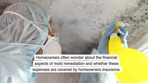 How Much Does Mold Remediation Cost?