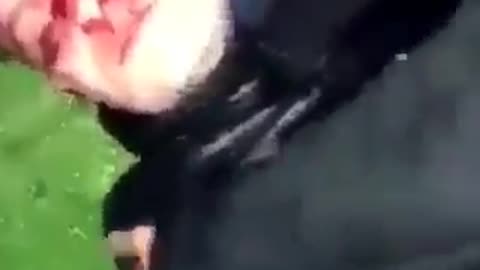 Migrants atacking an Irish teenager and stab him while they film