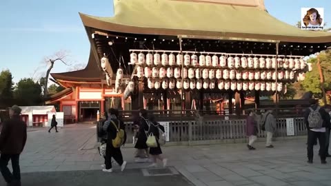 Japanese Silkworm Farming Conducted Silkworm Harvesting...