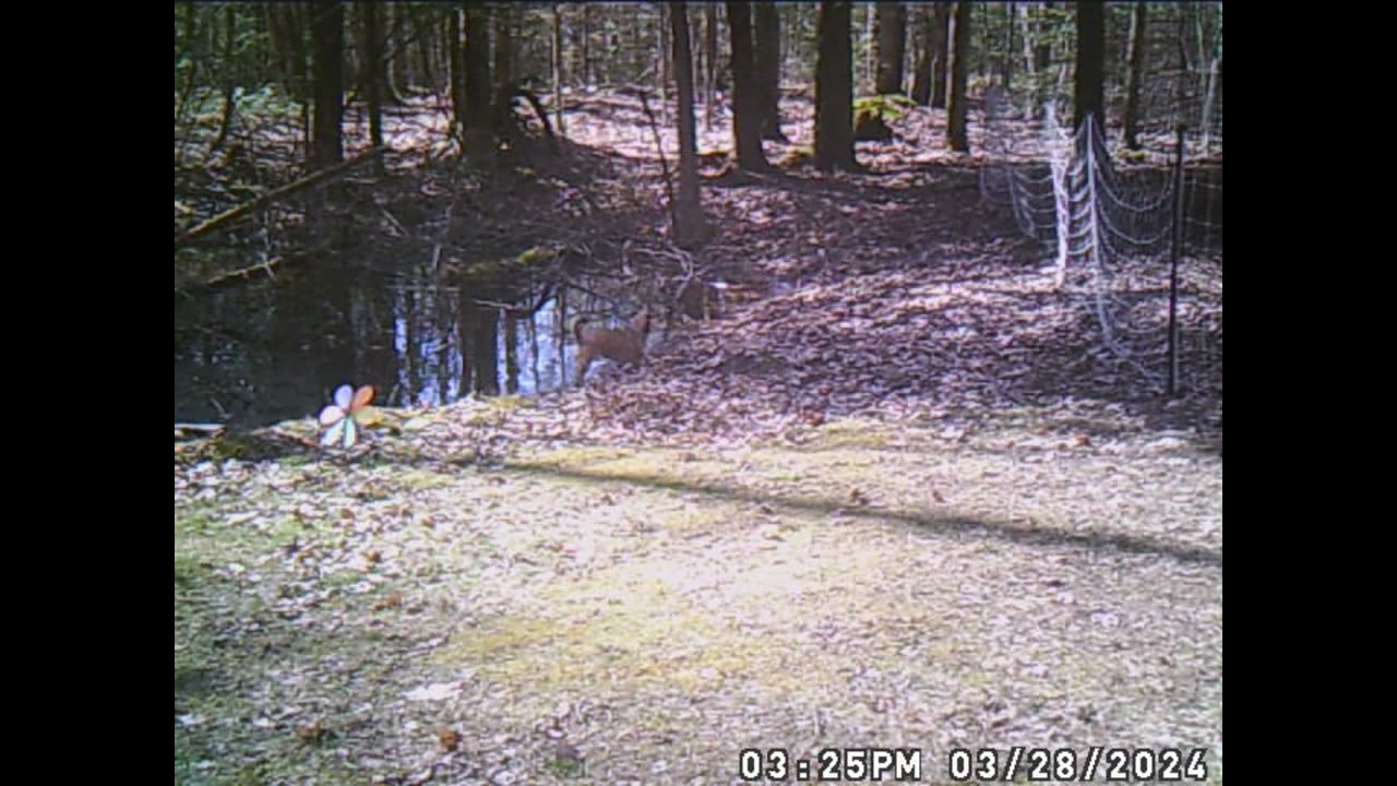 trail cam behind barn