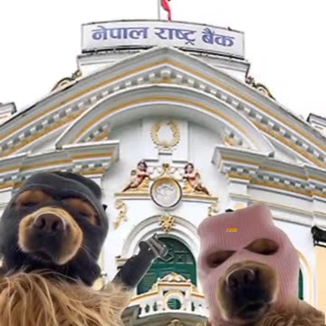 Me and my frnd last option🤣