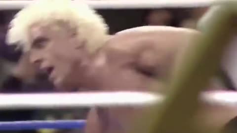 RIC FLAIR WINS THE ROYAL RUMBLE