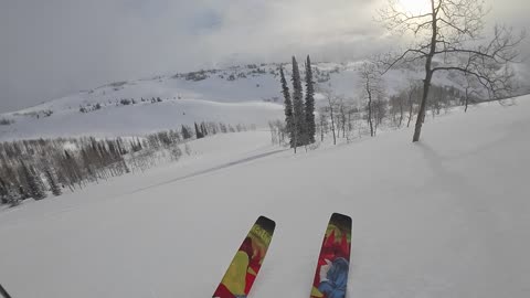 3/23 #1 First tracks down cherry ridge