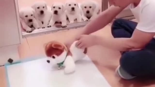 They get so scared after he starts beating the stuffed animal