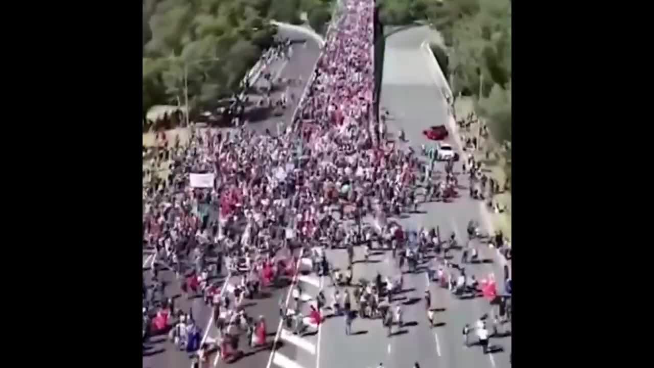 Freedom Protest at Australian Parliament