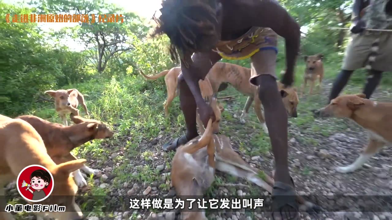 非洲土著有多狠？抓蝙蝠当午餐！野兽遇见了全部慌忙逃窜！