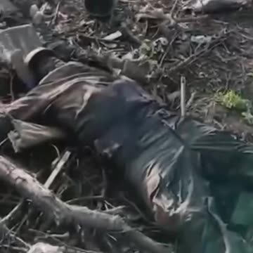 Ukraine war combat footage 12/16/24