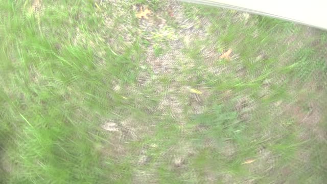 Tarzan World: "How to Fix an Annoying Door That Slams Shut in the Wind"