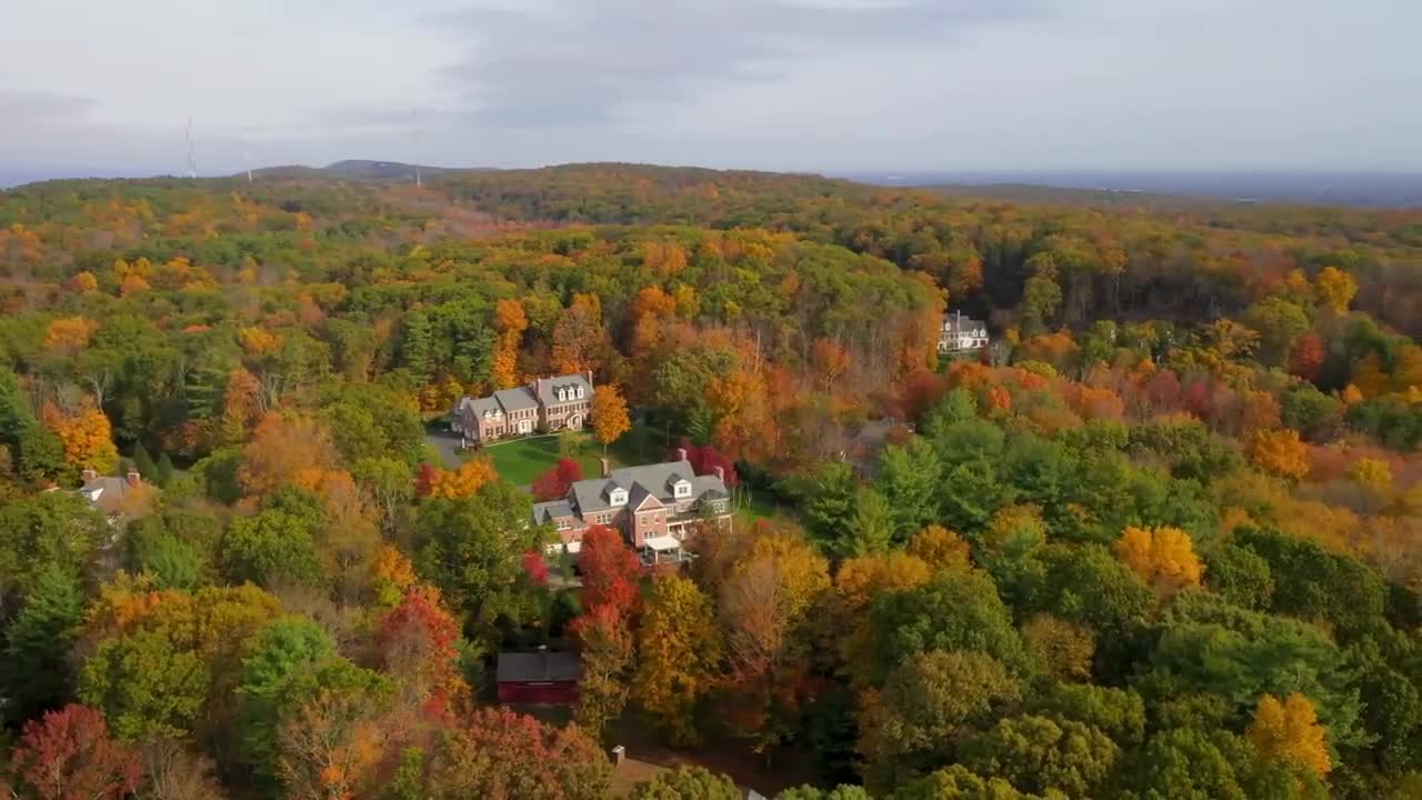 Enchanting Autumn Forests with Beautiful Piano Music