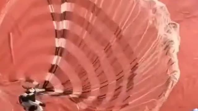 Satisfying Fish Net Throw - Oddly Satisfying