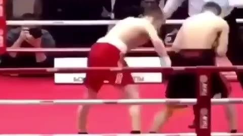 Bambi legs fight