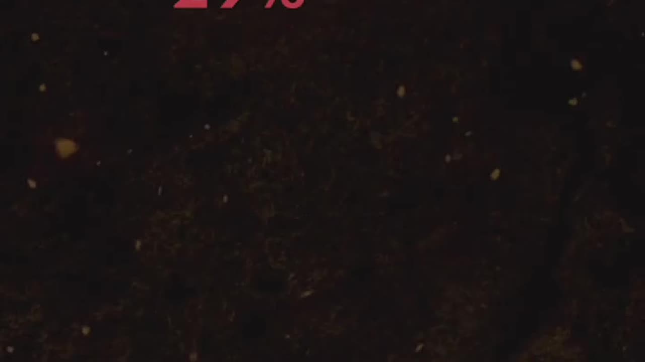 Reality of minorities in India