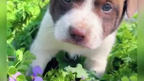 😋😋Super cute