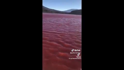 River Nile Turns Red November 2023 - Algae you say!?! - Reloaded