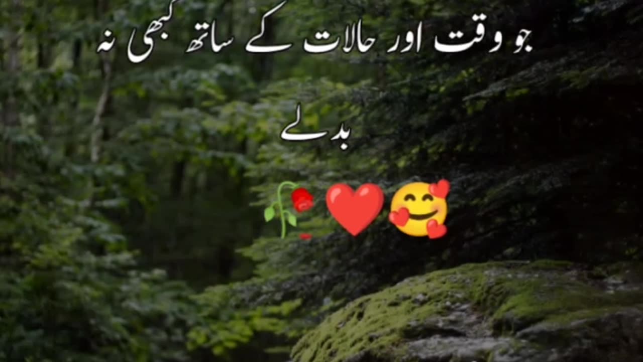 Shayari video| status video| video shayari| poetry video| status| video