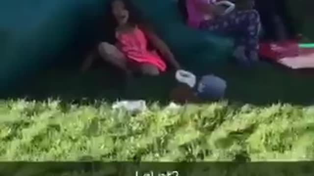 Funny video