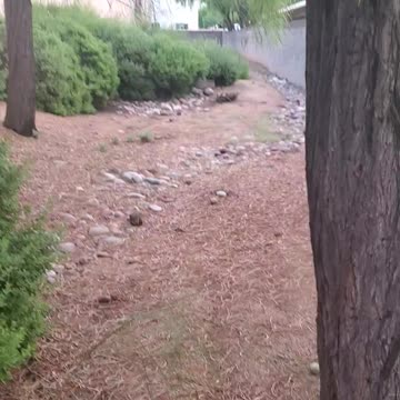 Mini adventure spot in the middle of town