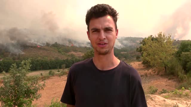 Wildfires burn national park in central Portugal