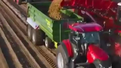 GRIMME XXL ##❗❗