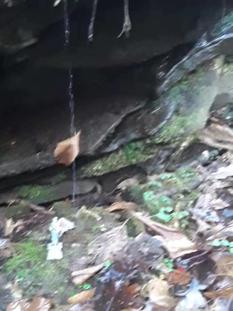 Confederate flag bearing soldier under the Mountain rock