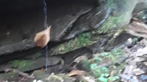 Confederate flag bearing soldier under the Mountain rock