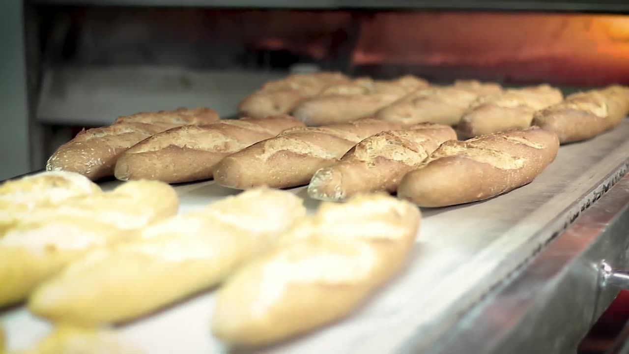 The Art of Making Homemade Bread From Kneading to Baking