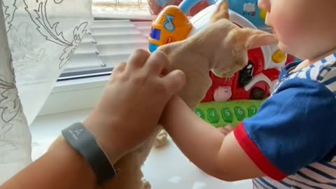 Un enfant jouant avec un chat mignon à la maison