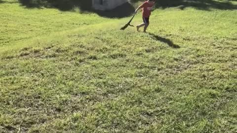 3-Year-Old and Dog Work Together to Catch Iguana