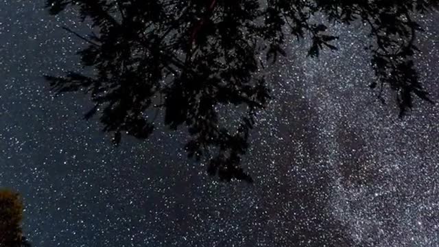 ⭐SONS DA NATUREZA EM NOITE DE CÉU ESTRELADO PARA INSPIRAÇÃO E ALEGRIA [02-07]