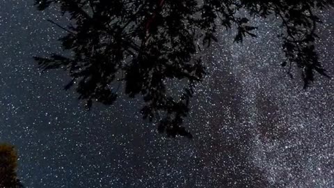 ⭐SONS DA NATUREZA EM NOITE DE CÉU ESTRELADO PARA INSPIRAÇÃO E ALEGRIA [02-07]