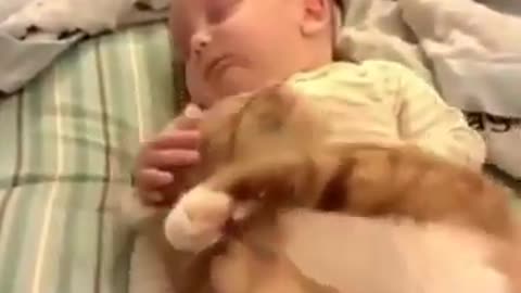 Baby With Little Pets #shorts #shortsvideo #viral #video