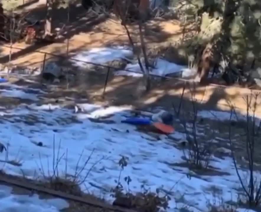 This Woman Sled The Wrong Way And It Ended Terrible