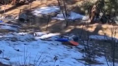 This Woman Sled The Wrong Way And It Ended Terrible