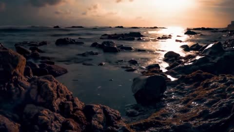Explore The Beauty Of Nature